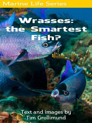 cover image of Wrasses